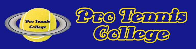 311144882 631365544995909 808321564312716274 n 768x192